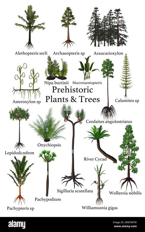 types of plants in ancient times.